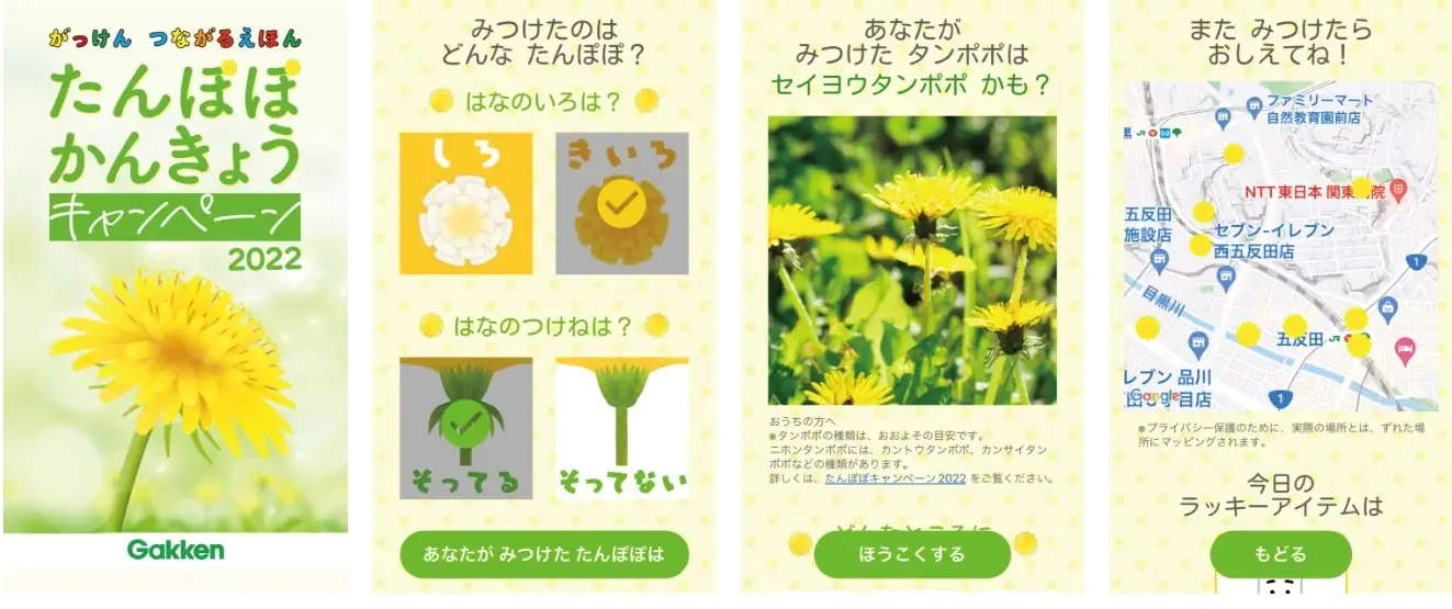 アプリで簡単！ たんぽぽの分布を探りながら気軽にSDGs体験 | こそだて