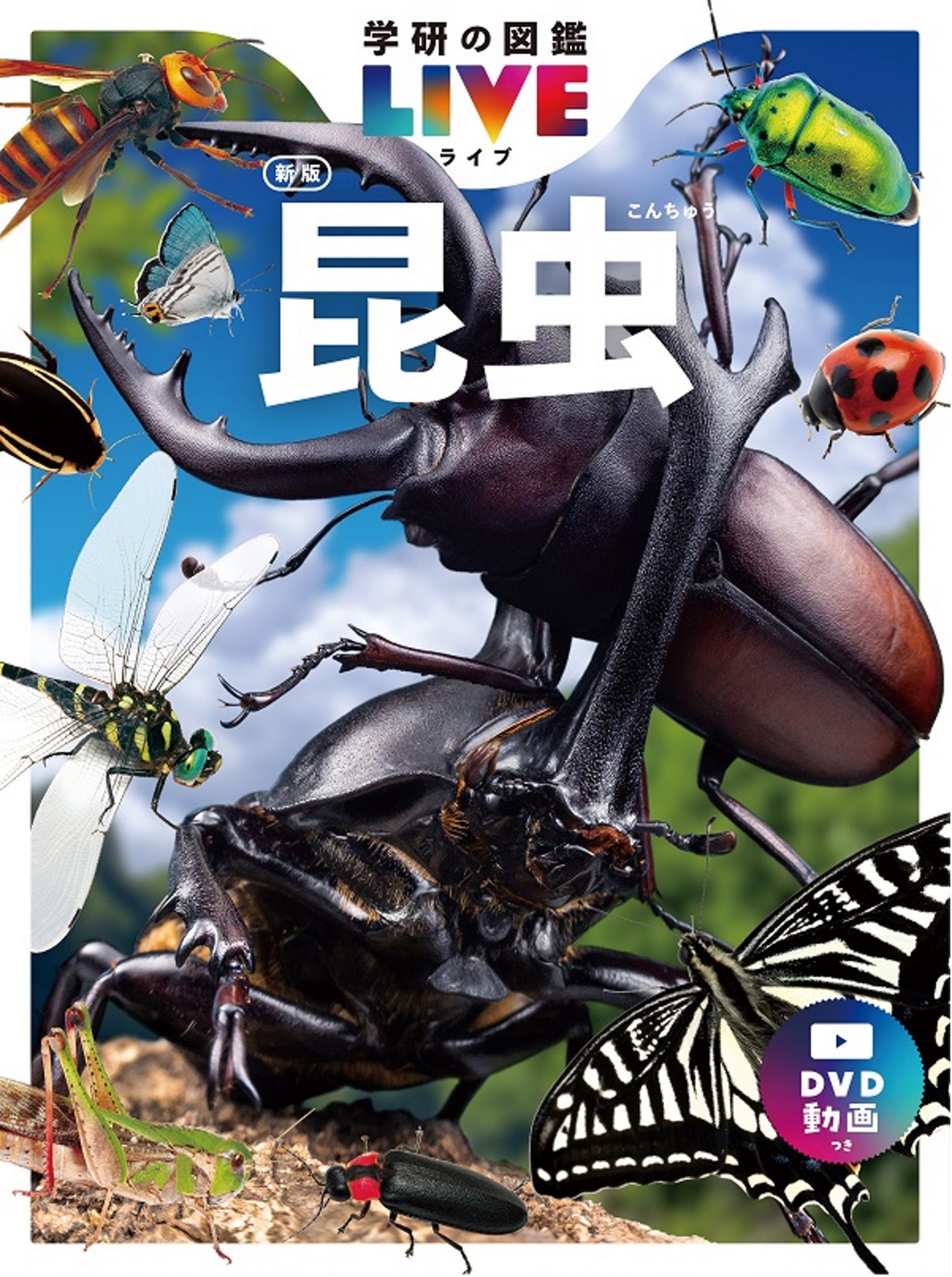 新種発見】図鑑の制作中に見つかった「ガッケンホソカワゲラ」とは？