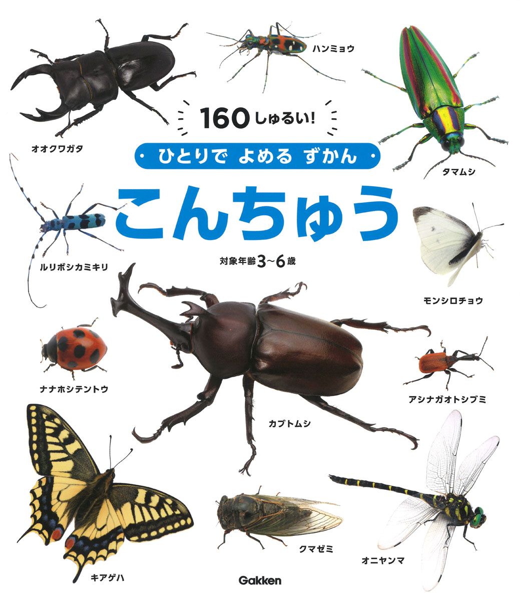 ひとりでよめるずかん　こんちゅう