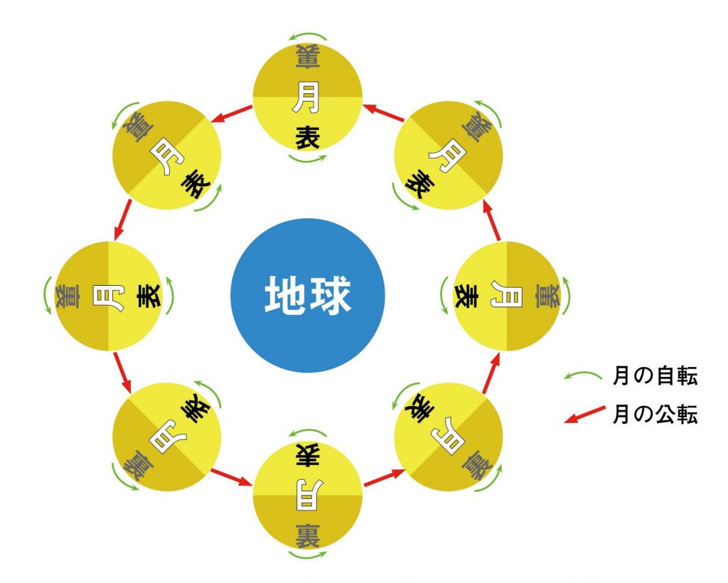 月の自転と公転