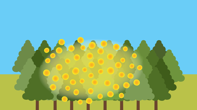 飛散するスギ花粉のイメージ