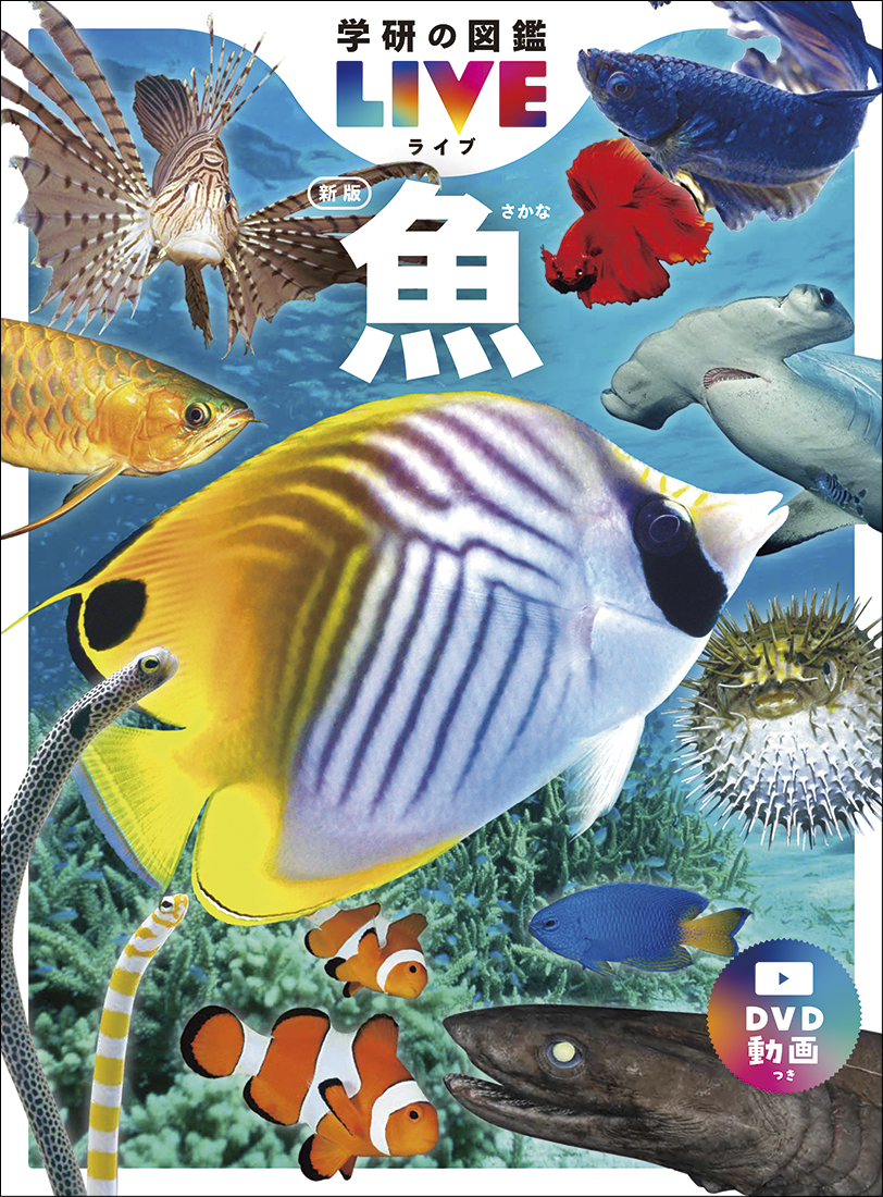 学研の図鑑LIVE　4巻　魚　新版