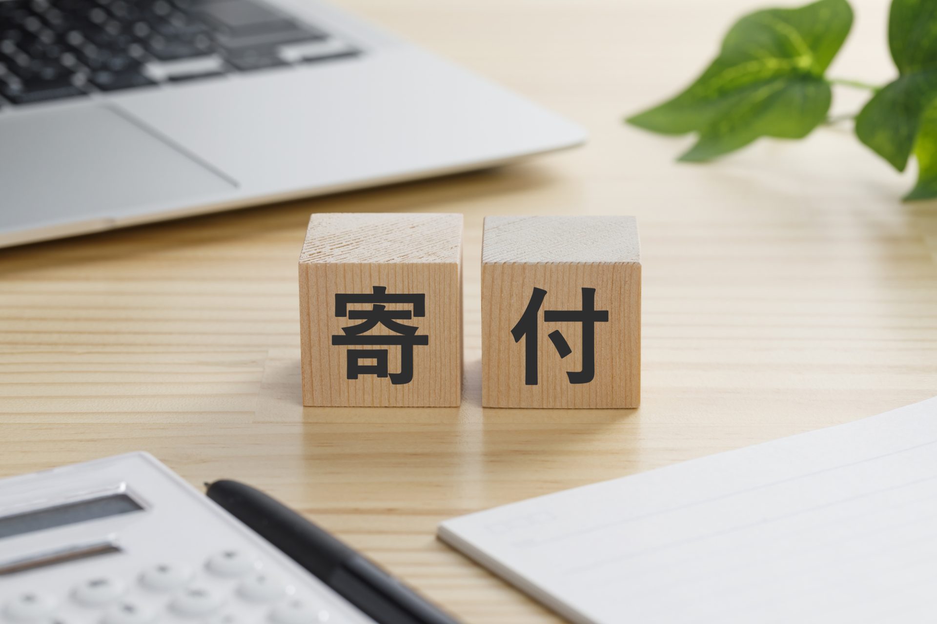 【寄付って何でするの？】親子で考える「社会の一員としての僕・私」が、今できること