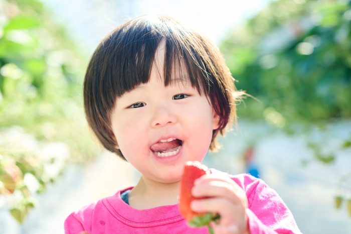 【2026年小学校の春休みはいつから？】新学期に慌てない3つの準備＆共働きの「小1の壁」攻略法！