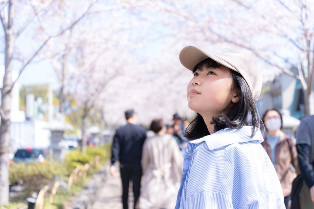 桜を眺めている女の子