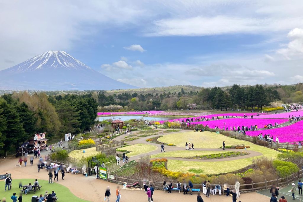 富士本栖湖リゾートの写真