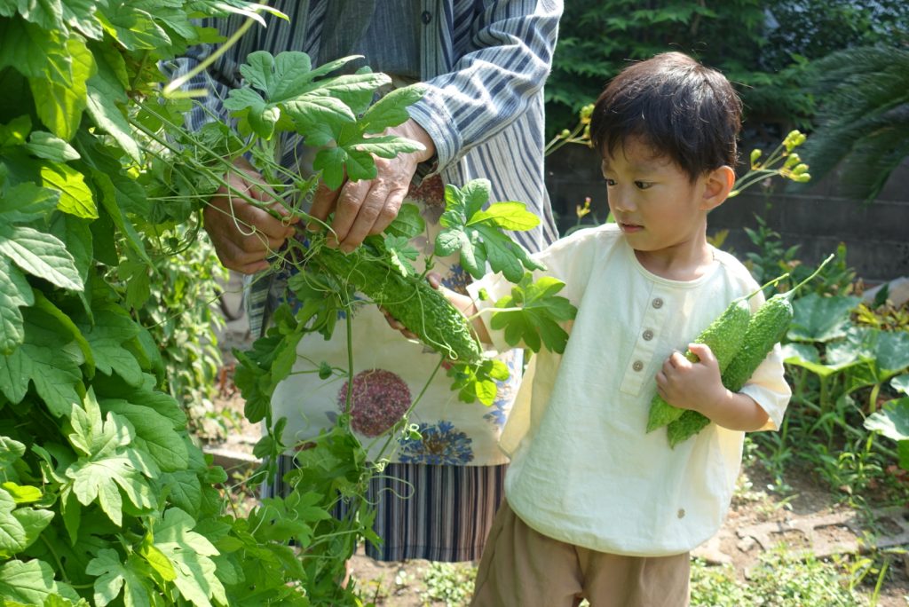 家庭菜園