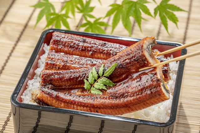 2026年は7月26日が【土用の丑の日】うなぎを食べるのはなぜ？