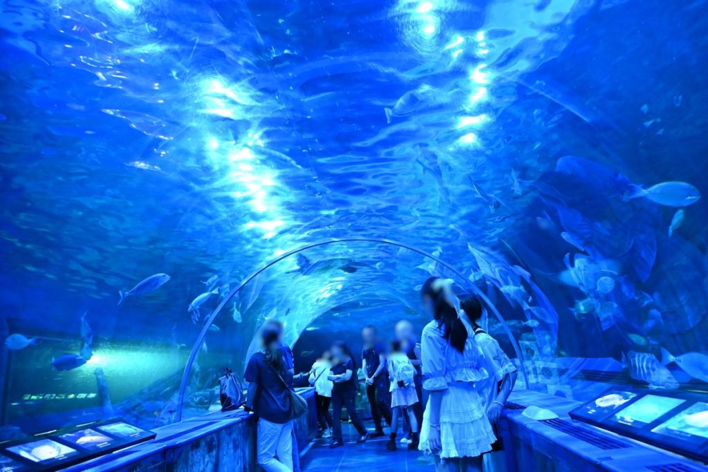 東京都のしながわ水族館のトンネル水槽の画像