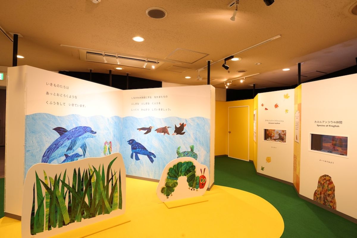 絵本の世界で生き物の不思議を体感！東京都のしながわ水族館で特別展「エリック・カールと いのちの色—同じ世界で、ちがう色—」開催中（7月25日～12月25日まで）