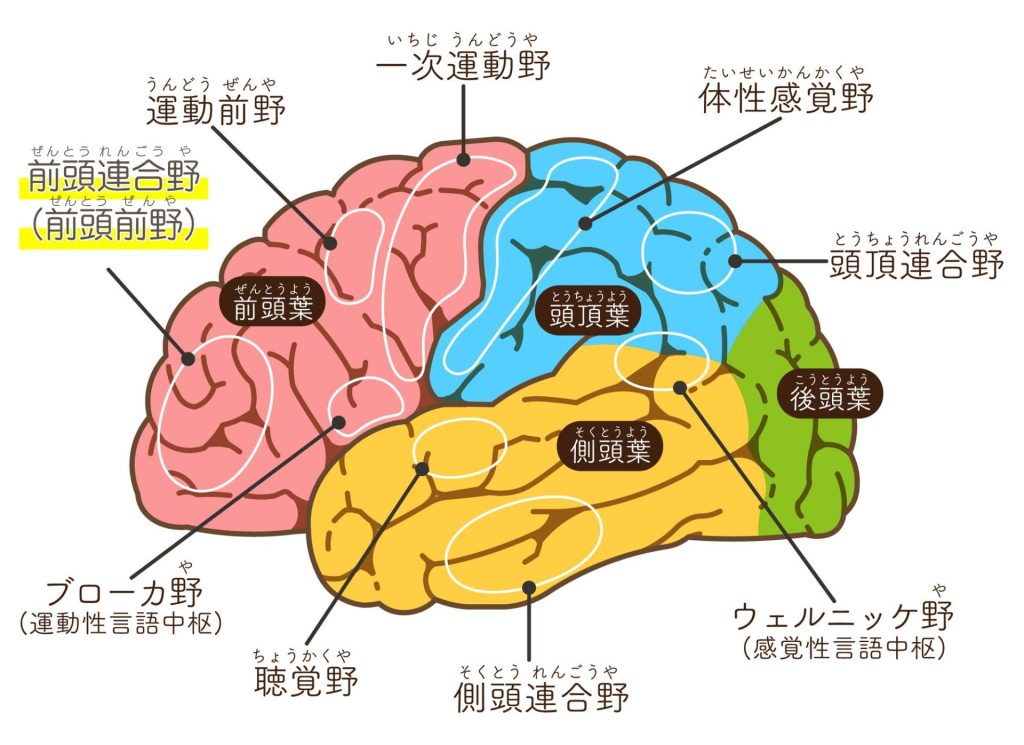 好きな遊びに夢中なとき、子どもの脳では何が起きている?【脳科学者に聞く】“好き”が脳育になる理由