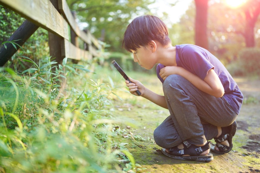 外で虫眼鏡を使って観察している男の子