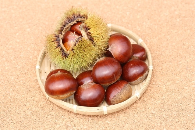 栗