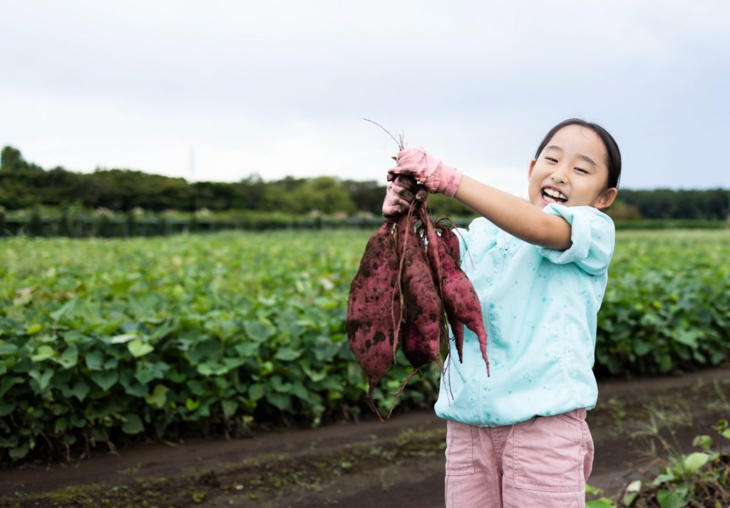 【食欲の秋を楽しもう！】芋掘り体験はいつが狙い目？失敗しない時期・服装・持ち物まとめ